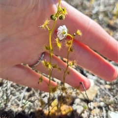 Unverified at suppressed - suppressed