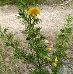 Unverified at suppressed - suppressed