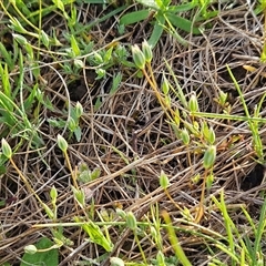 Unverified at suppressed - suppressed