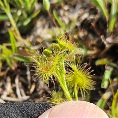 Unverified at suppressed - suppressed