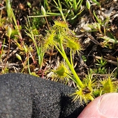 Unverified at suppressed - suppressed