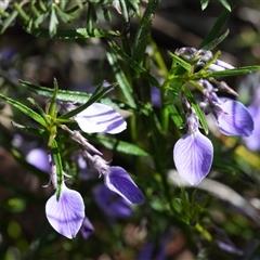 Unverified at suppressed - suppressed