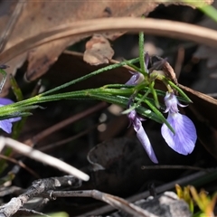 Unverified at suppressed - suppressed