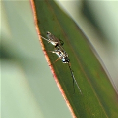 Unverified at suppressed - suppressed