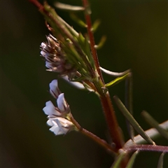 Unverified at suppressed - suppressed