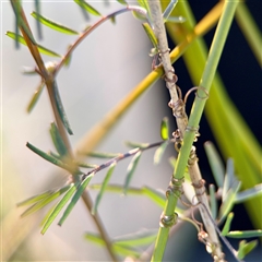 Unverified at suppressed - suppressed