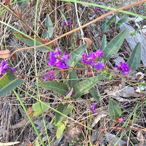 Unverified Climbers at Farrer, ACT - Today by Mike