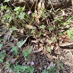 Unverified at suppressed - suppressed