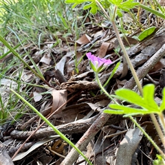 Unverified at suppressed - suppressed