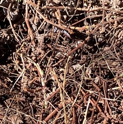 Unverified at suppressed - suppressed