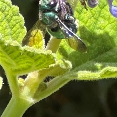 Unverified at suppressed - suppressed