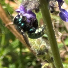 Unverified at suppressed - suppressed