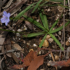 Unverified at suppressed - suppressed