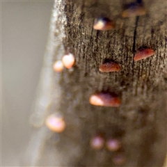 Unverified at suppressed - suppressed