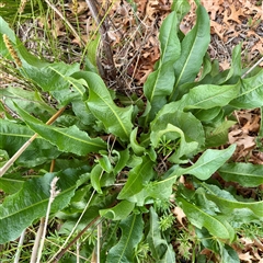 Unverified at suppressed - suppressed