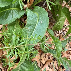 Unverified at suppressed - suppressed