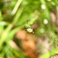 Unverified at suppressed - suppressed