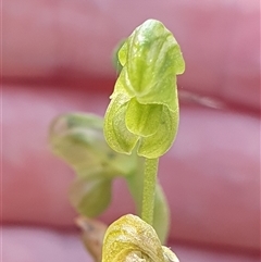 Unverified at suppressed - suppressed