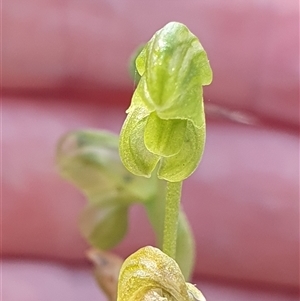 Unverified at suppressed - suppressed