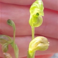 Unverified at suppressed - suppressed