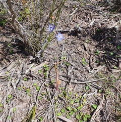 Unverified at suppressed - suppressed