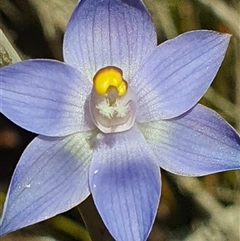 Unverified at suppressed - suppressed