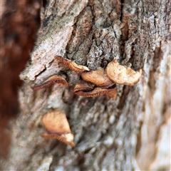 Unverified at suppressed - suppressed