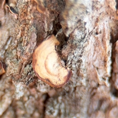 Unverified at suppressed - suppressed