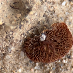 Unverified at suppressed - suppressed