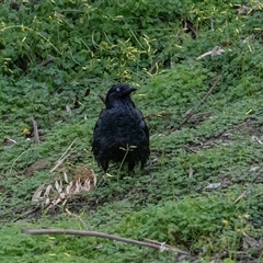 Unverified at suppressed - suppressed