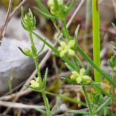 Unverified at suppressed - suppressed