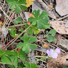 Unverified at suppressed - suppressed