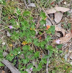 Unverified at suppressed - suppressed