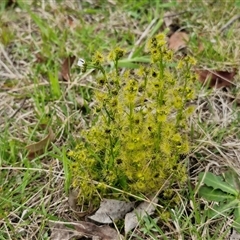 Unverified at suppressed - suppressed