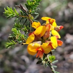 Unverified at suppressed - suppressed