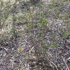 Unverified at suppressed - suppressed