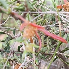 Unverified at suppressed - suppressed