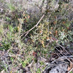 Unverified at suppressed - suppressed