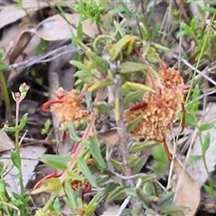 Unverified at suppressed - suppressed