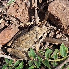 Unverified at suppressed - suppressed