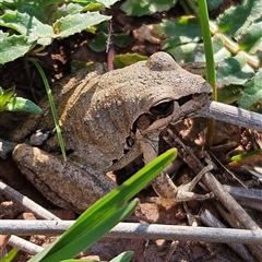 Unverified at suppressed - suppressed