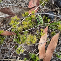 Unverified at suppressed - suppressed