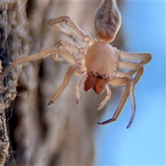 Unverified at suppressed - suppressed