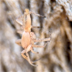 Unverified at suppressed - suppressed