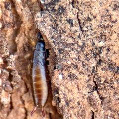 Unverified at suppressed - suppressed