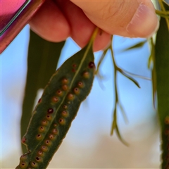 Unverified at suppressed - suppressed