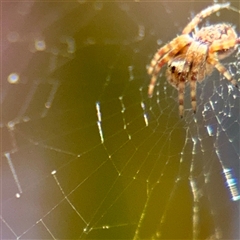 Unverified at suppressed - suppressed