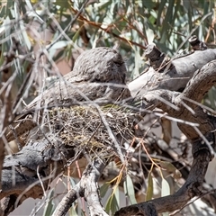 Unverified at suppressed - suppressed