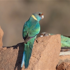 Unverified at suppressed - suppressed