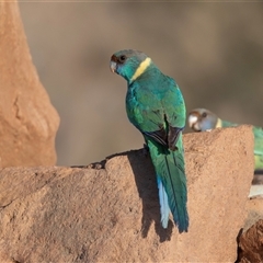 Unverified at suppressed - suppressed